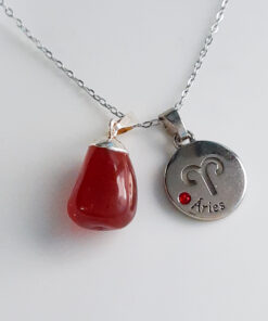 C188 - Colar de Signo Áries com Pedra Cornalina