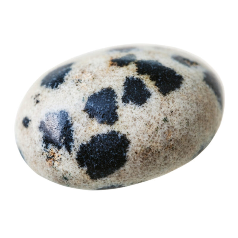 Pedra Jaspe Dálmata
